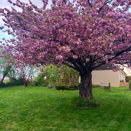 Maison Chaleureuse Avec Insert En Campagne Βίλα Saint-Mars-sur-la-Futaie Εξωτερικό φωτογραφία